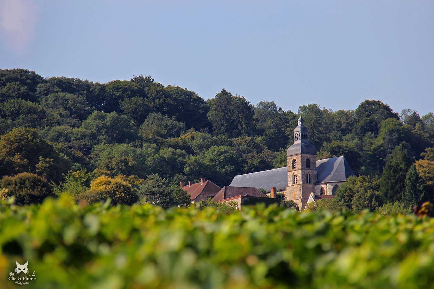 Côteaux Cumières Hautvillers